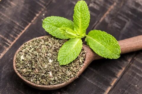 تصویر 4 از قیمت نعناع خشک محلی + عمده